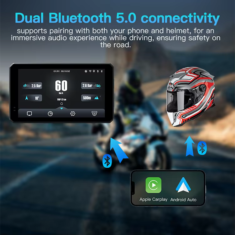 AUTOPILOT DM601-DVR